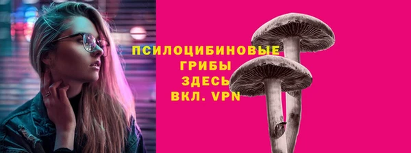 прущая мука Верхний Тагил